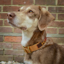 Load image into Gallery viewer, Wild at Heart Foundation Beaded Collar: Light Tan, Brown &amp; Rainbow